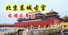 肛交骚妇流淫水中国北京-东城古宫旅游风景区